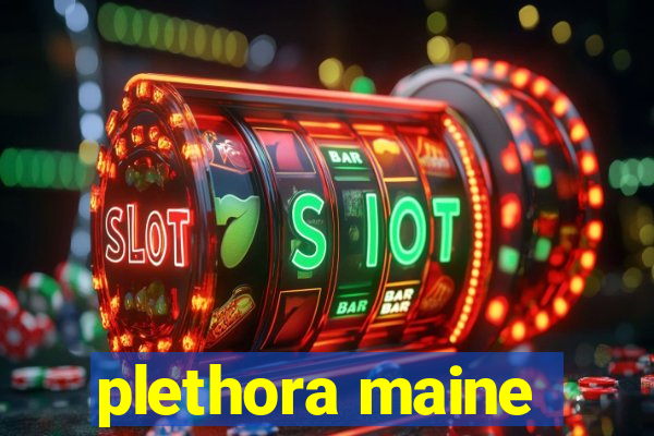 plethora maine